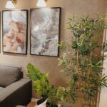 Tips for Creating a Cozy and Inviting Home Environment on a Budget